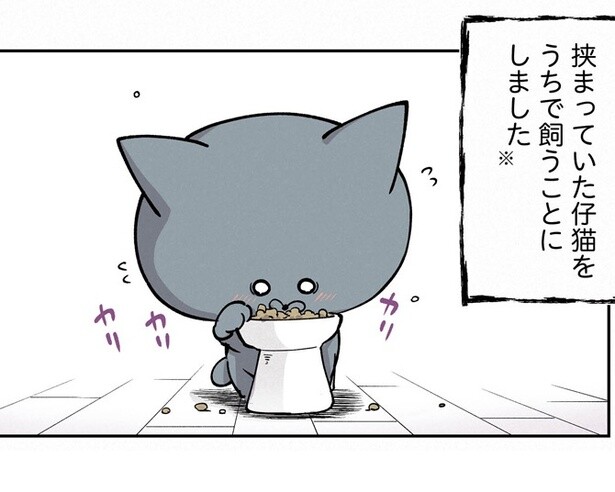 ペットカメラに映り込んではならないものが大量に映っていた？動画投稿を先輩に止められた話【作者に聞いた】