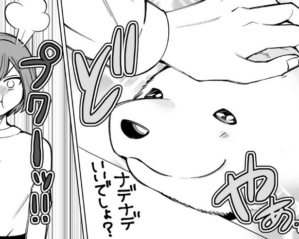 犬のドヤ顔に妻がプクーッ!!夫のことが大好きな妻VS犬の戦いがほほえましすぎる！妻の逆転勝利にも注目【作者に聞く】