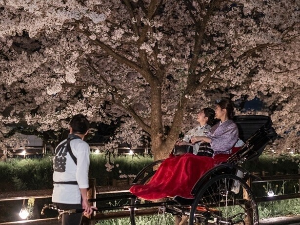 川越プリンスホテルの春限定プラン！「-小江戸春旅- 夜桜人力車とお花見ディナー」で素敵な思い出を作ろう