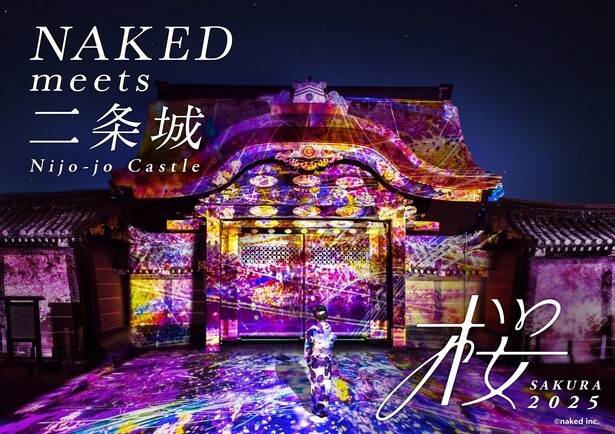 世界遺産・二条城で夜桜のライトアップを楽しもう！伝統建築とアートが桜を彩る「NAKED meets 二条城 2025 桜」
