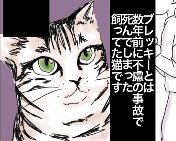 「もう一度亡き愛猫に会いたい」と願う心が起こした奇跡！お風呂のドア越しに見えたのは…？心温まる怪奇現象【作者に聞く】
