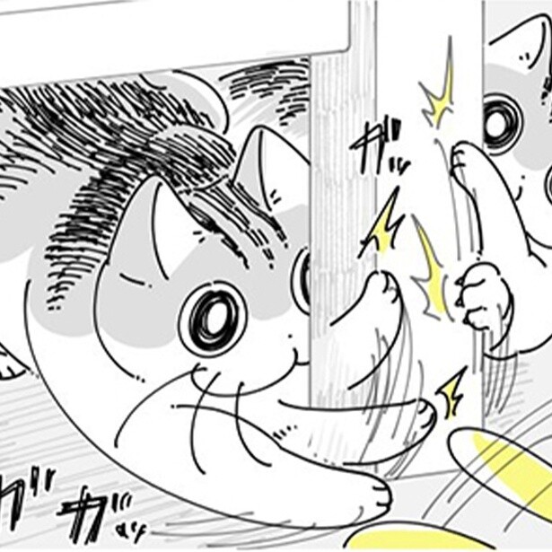 【ネコ漫画】飼い主と遊びに夢中になる愛猫!?体をぶつける姿に「うちの猫も私も同じ」などの共感コメント続々