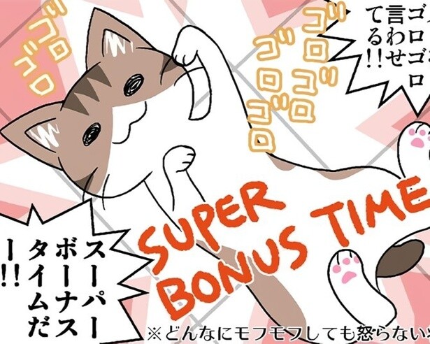 猫を飼って私の世界は一変した！愛猫「めめ」は“最強の激かわ”で想像を絶する幸せが待っていた!!【作者インタビュー】