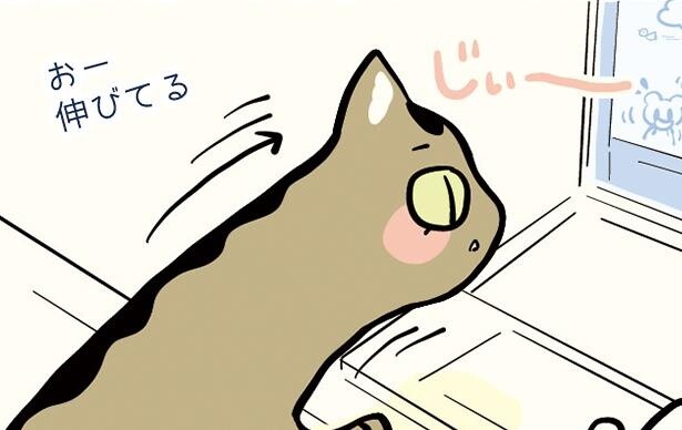 猫は液体とは知っていたが…!?保護猫を引き取って1486日、毎日欠かさず描く成長絵日記に心温まる【作者に聞く】