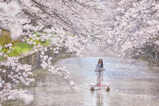360度桜に包まれる絶景を水上自転車で独り占め！「自転車を楽しむホテル」発の粋なお花見体験とは？