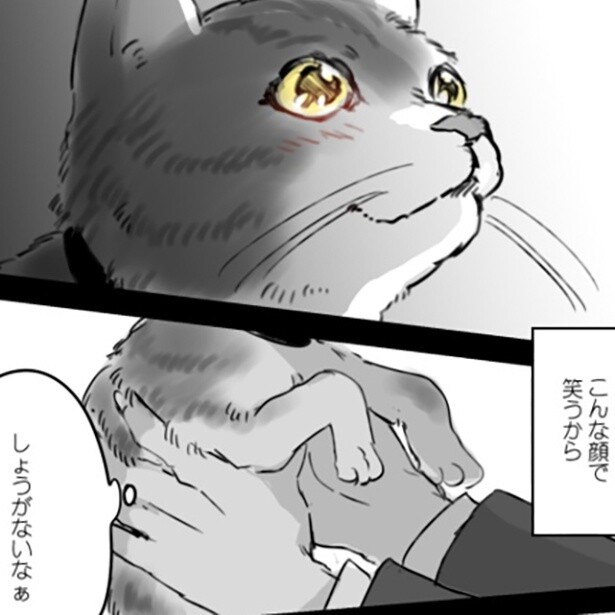 【ねこ漫画】「1匹で強く逞しく生きていくはずだった…」無条件に愛されることを覚えた猫の姿に感動の声続出【作者に聞く】