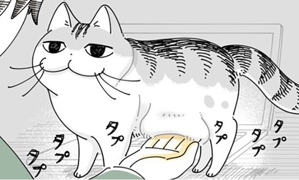【ネコ漫画】愛猫のたるんだお腹を触る飼い主!?その姿に「わかります」など共感コメント&9.5万いいね