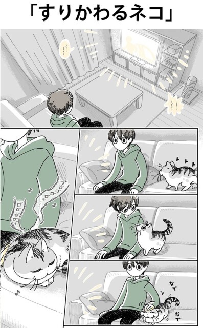 猫は変わり身の術が使える!?愛猫だと思って撫でていたら、いつのまにか枕になっていた／『夜は猫といっしょ』