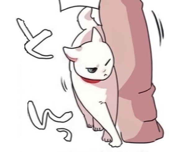 【ねこ漫画】「かわいい当たり屋」「当たり屋、大歓迎」読者沸く！「我が家はクレクレ詐欺です」の声も【作者に聞く】
