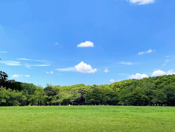 東京近郊でピクニックにおすすめの公園10選！心も体もリフレッシュしよう