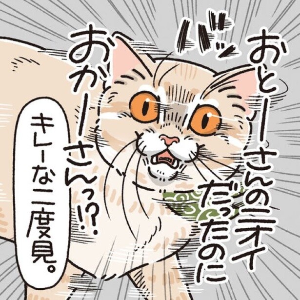 【ネコ漫画】「おとーしゃんのニオイがするのに…？」ニオイで混乱した愛猫が見せた“キレイな二度見”に愛猫家が「切ない」「逆なら？」の声【作者に聞く】
