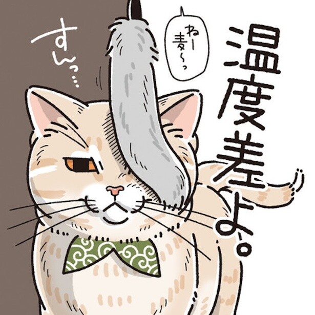 【ネコ漫画】「温度差よ…」遊びたい下僕に容赦ない塩対応!!貢ぎ物も無意味…パパと猫の愛の物語【作者に訊いた】