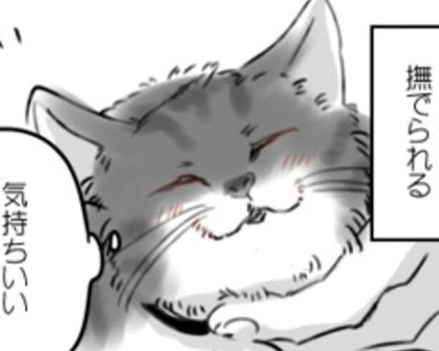 【ネコ漫画】“野良猫”が“家族”になっていく日々に涙が止まらない！「うちの子もそうだった」「これは泣く」とSNSで話題【作者に取材】