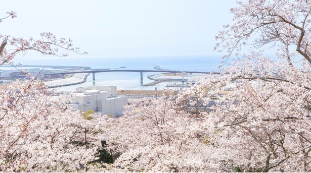 桜前線は東北へ！今週末(4月19日・20日)に見頃の桜を楽しめそうな全国のお花見名所ガイド