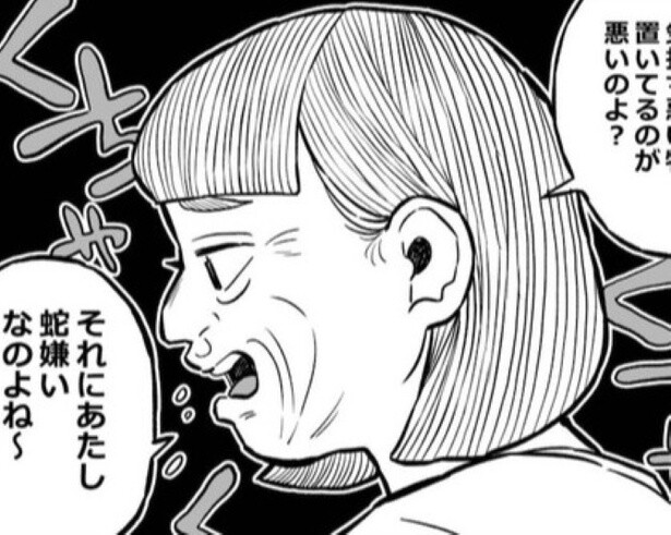 【毒祖母】「アンタ臭いから」「体臭きつい」祖母から罵倒されて育てられた少女の希望ある結末に涙【作者に聞いた】
