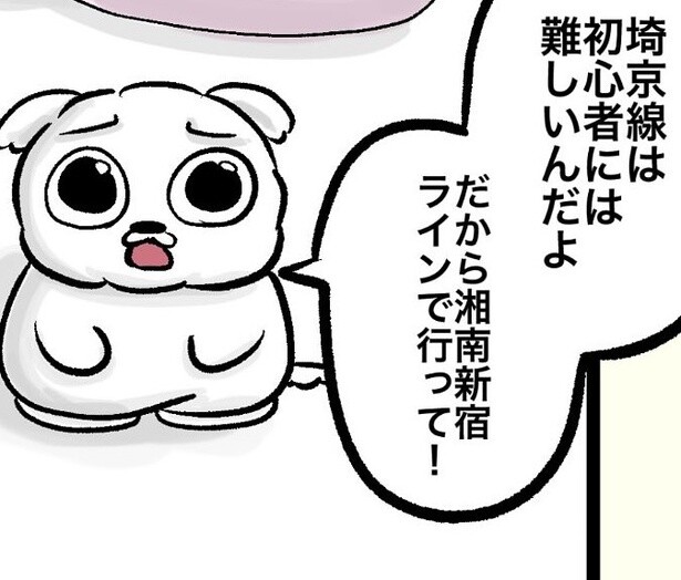 【偏見!?】「初心者は埼京線より新宿湘南ラインで！」とアドバイス！すると「何で知ってるの？」「まじでわかりみが深い」と読者の声【著者に聞く】