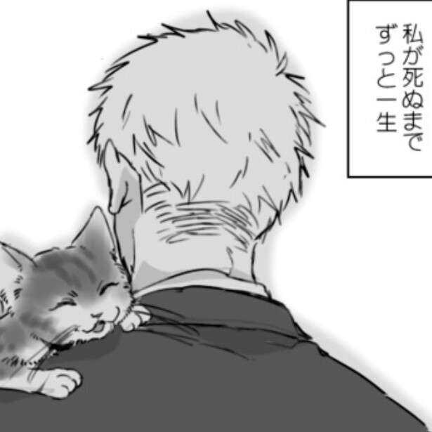 野良猫から飼い猫へ…！「飼ってた猫を思い出す」とSNSのコメント欄が愛猫への愛で埋まった話題作【作者に聞く】