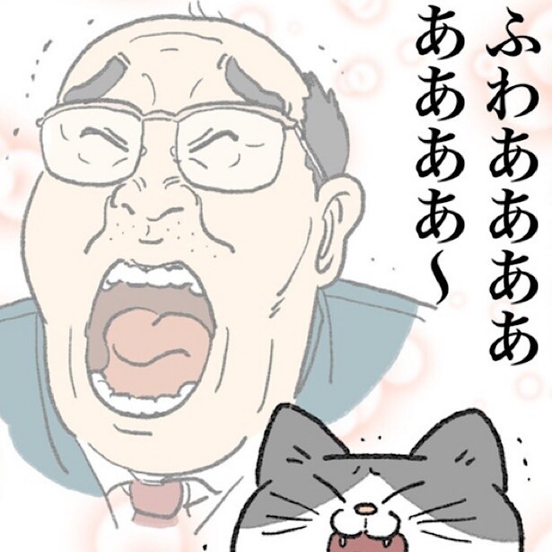 目覚めたら猫だった!?おじさんの「もふもふ転生」が想像以上に癒やし系！ネコ転生ストーリーに沼る人続出【作者に訊いた】