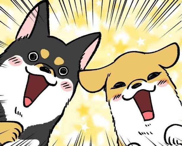 「柴犬フィーバータイムは秒速で終了！」帰宅後の熱烈歓迎→急速鎮静に飼い主もガックリ…【作者に聞く】