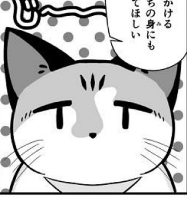 【共感しかない！ネコ漫画】「ネコがみつめてくるとき」「ネコがさまたげるとき」など、愛猫との回避不能な悲劇や喜劇がエモい【作者に聞く】