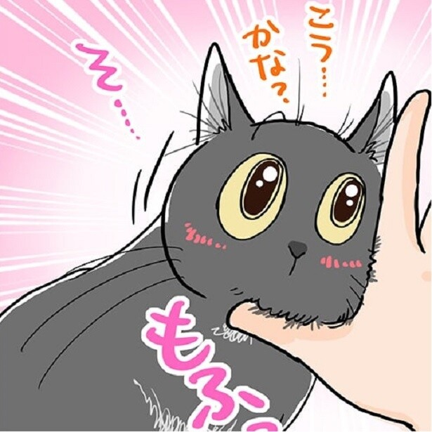 【愛ネコ漫画】かわいいんですけどー!!飼い主がキュン死した、愛猫の予想外の反応とは？【作者に聞いた】