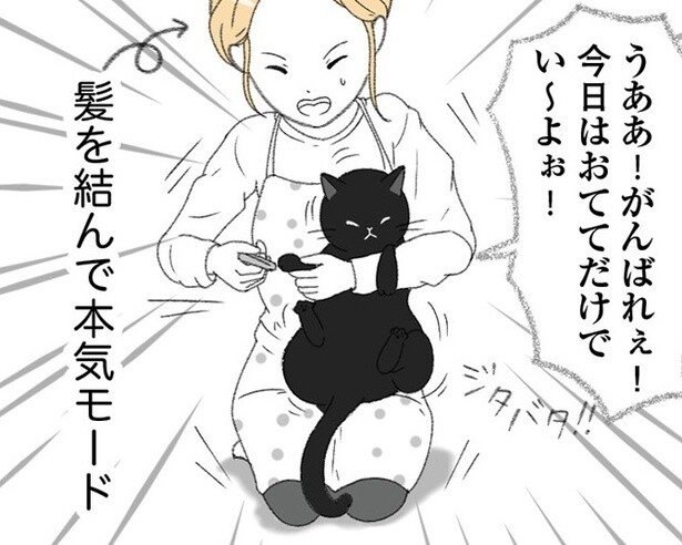 【ネコ漫画】11匹の猫と暮らすユーチューバー。気になる毎日のお世話を徹底解説