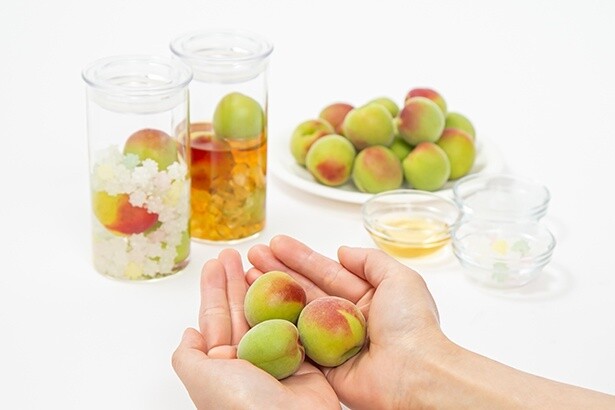 旬の南高梅にこだわった「蝶矢“旬の”梅酒キット」が梅体験専門店で予約販売中！初心者でも簡単につくれる