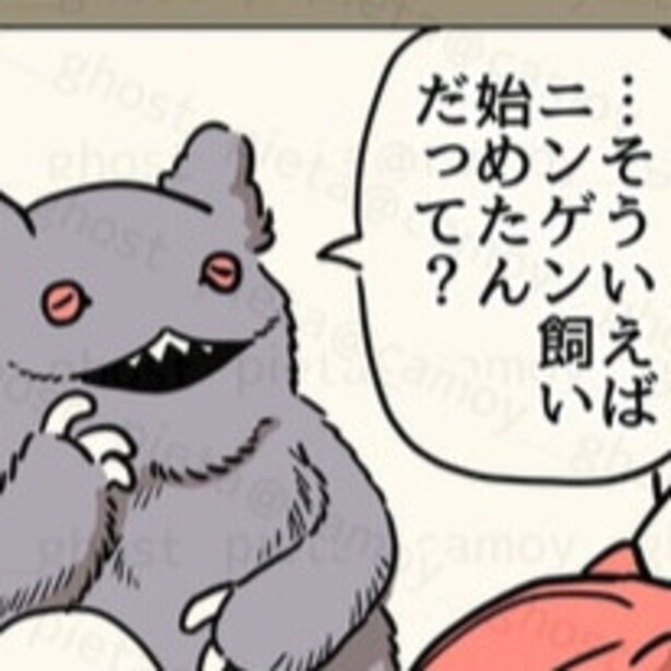 「ニンゲン、飼い始めたんだって？」飼う側から飼われる側へ⁉︎ 「ペットのリアルな気持ちが知れるかも！」と反響大【作者に聞く】