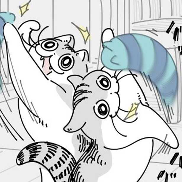 【ネコ漫画】大好きなおもちゃで遊びまくる愛猫!?その姿に「かわいすぎます」などの共感コメント＆7.5万いいねの大反響