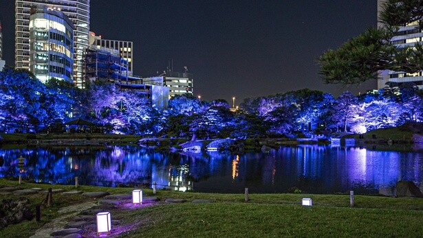 水中のような庭園にうっとり。ライトアップイベント「旧芝離宮夜会 〜ひかりめぐる庭〜」が5月22日から開催