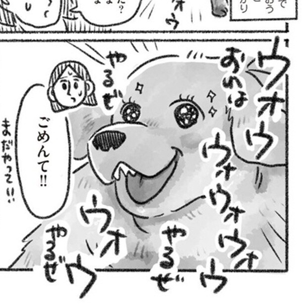 【老犬の最期】愛犬がもういないことを受容するための大切な作業。最期を看取るまでの温かい日々を描く話題作【作者に聞く】