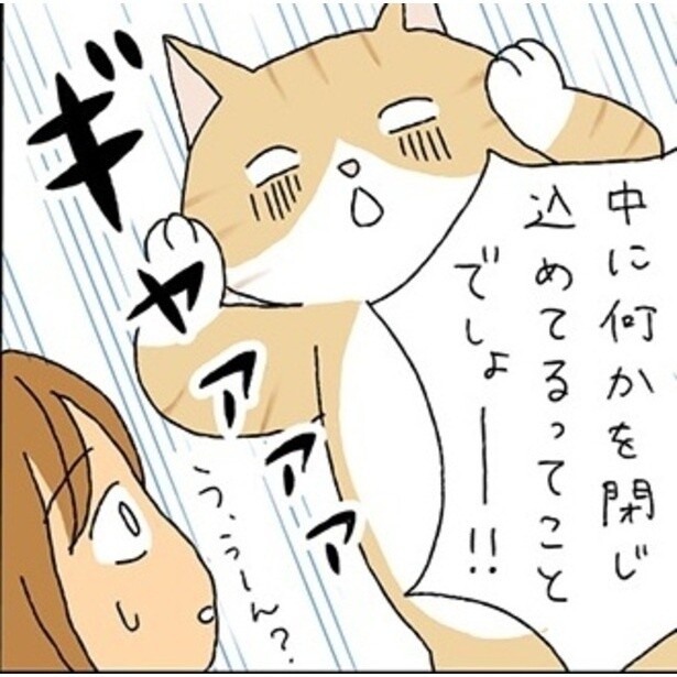 【ホラーすぎる…】「お札で封じられた空家」が放つ不穏な気配→飼い猫が“見えない何か”を追い払った忘れられない体験【作者に聞いた】