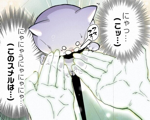 【ネコ漫画】「そんなのアリ？」「お前外に出られるのかよ…」基本、部屋にしか現れないと思っていたお化けが、ネコをあっさり救出した話【作者に聞いた】