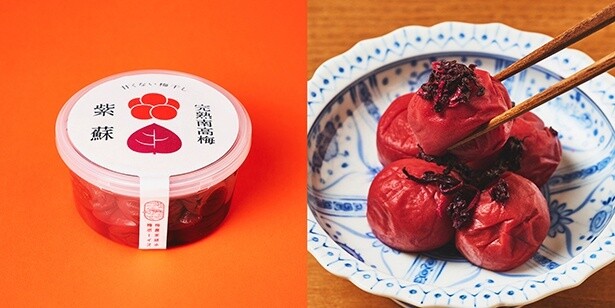 梅雨のジメジメを“梅パワー”で吹き飛ばそう！「スカッと！うめ習慣」フェアが日本百貨店で開催中