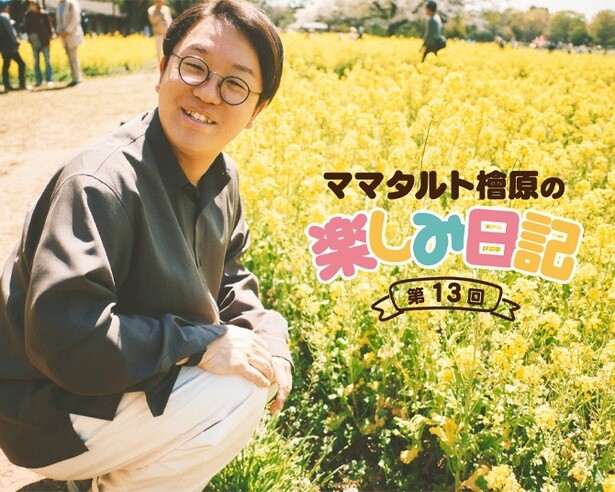 ママタルト檜原さんがヒワーラントワネットになりかけた、二度にわたる虫たちとの死闘