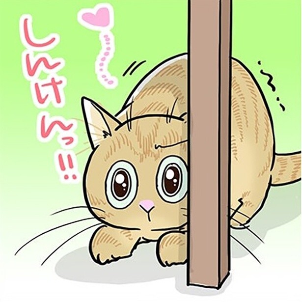 【愛ネコ漫画】「丸見えよ？」3猫それぞれの“笑いを誘う”隠れ姿がかわいすぎる!!【作者に聞いた】