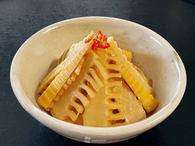 今が旬の“たけのこ”の保存法　食べきれない時は自家製メンマに