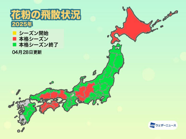 大阪などで花粉の本格飛散が終了　北海道ではシラカバ花粉が本格化
