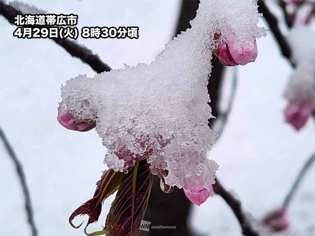 北海道 道東・十勝地方を中心に市街地でも雪　ゴールデンウィークの運転は注意