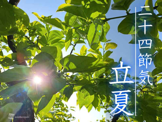 二十四節気「立夏」　風薫る、清々しい季節