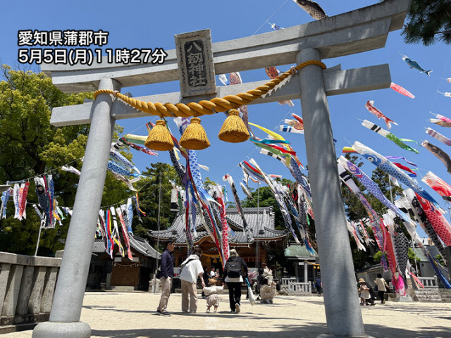 青空に映える鯉のぼり　風が弱めでちょっぴり元気なし