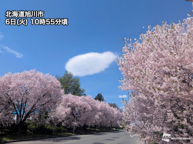 北海道はお花見日和　上空は風がやや強くつるし雲が出現