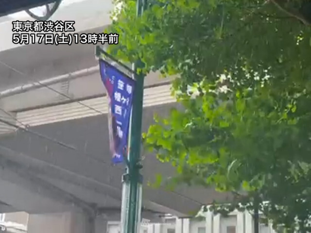 東京都心など関東で土砂降りの雨　沿岸部は風も強く横殴りに