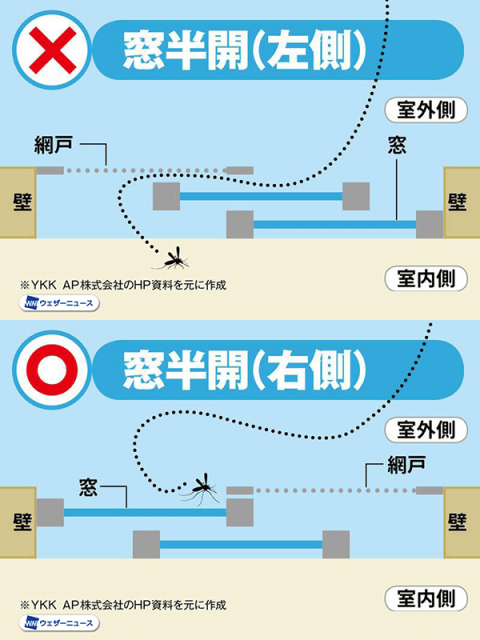 その開け方、まちがってるかも？　虫が侵入しない窓や網戸の開閉方法