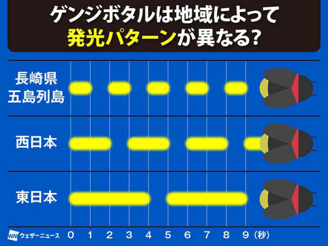 ゲンジボタルの発光パターンは西日本と東日本で違う？