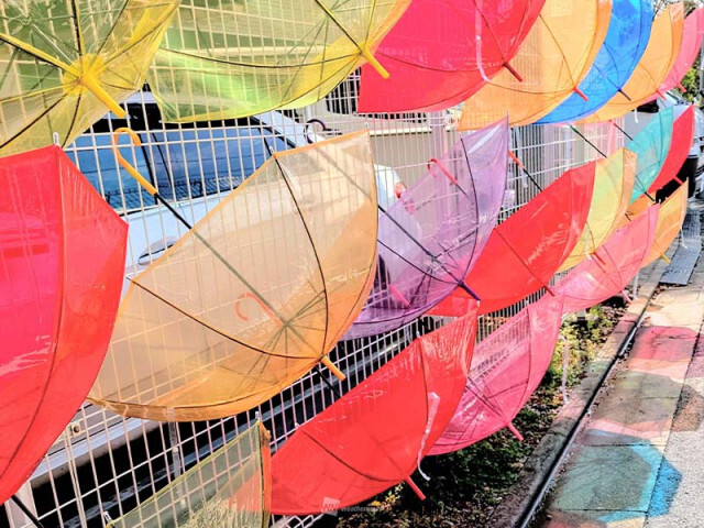 気温や湿度の変化が大きい6月　服装選びのポイントは？