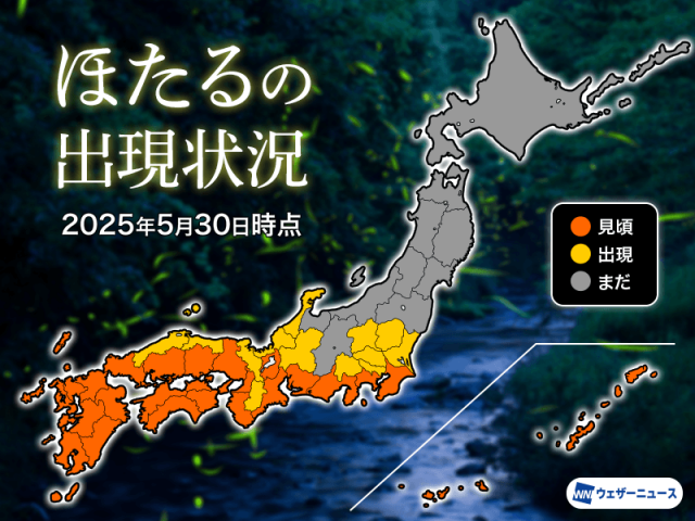 九州で蛍の数がピークを迎える 近畿から関東も段々と見頃に