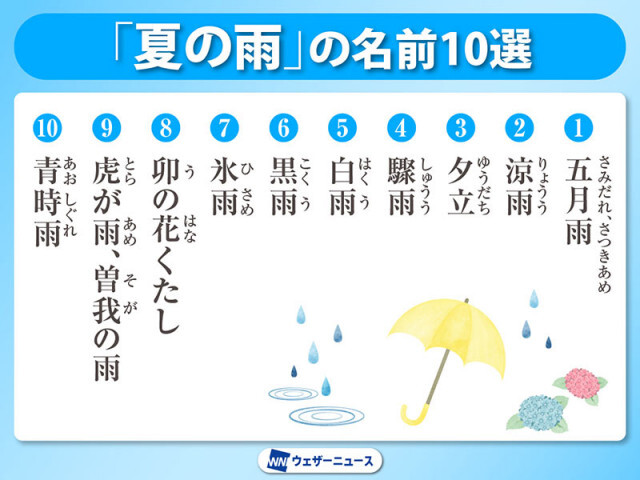 梅雨を楽しむ「雨の名前」10選　夏の季語「青時雨(あおしぐれ)」とは？　