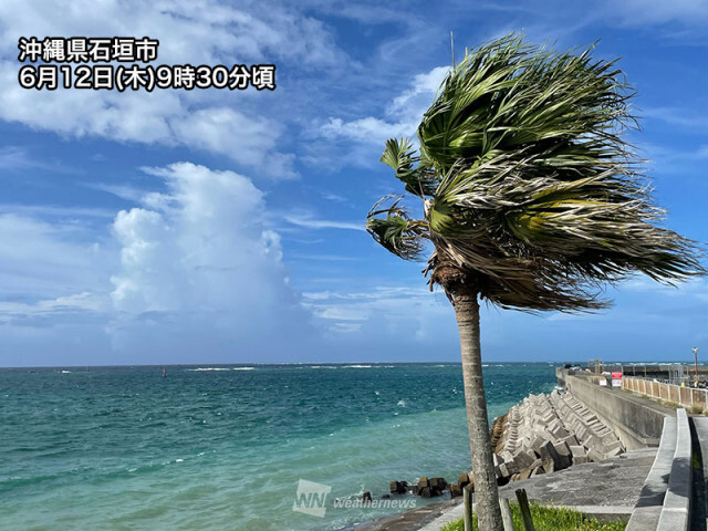 熱帯低気圧が接近　沖縄の先島諸島は次第に雨風強まり荒天に
