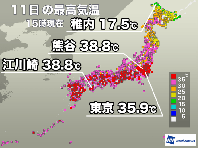 猛暑日100地点以上は24日連続　振替休日の明日も暑さは休みなし